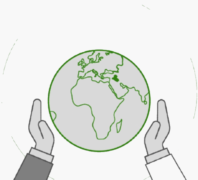 پاراستنی ژینگە